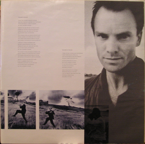 Sting - The Dream Of The Blue Turtles (Vinyl)